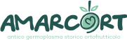Amarcort Logo